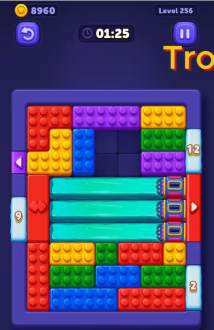 Block Out Level 256