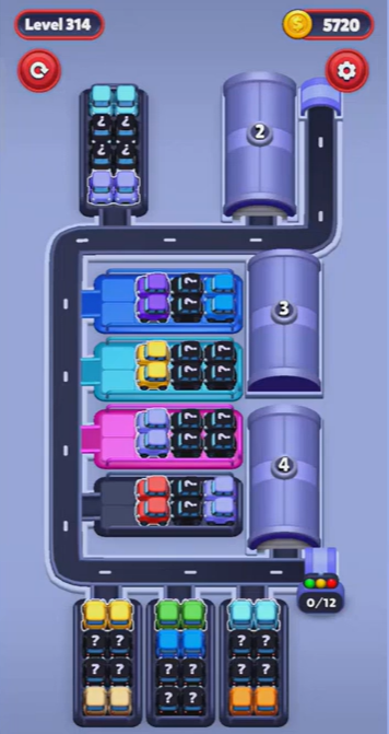 Car Sort Level 314