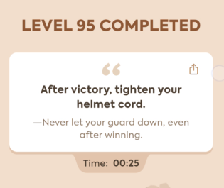 Code Busters Level 95