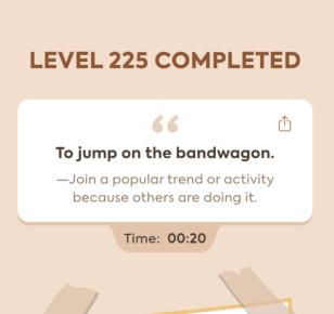 Code Busters Level 225