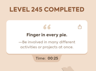 Code Busters Level 245