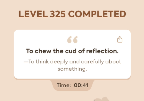 Code Busters Level 325