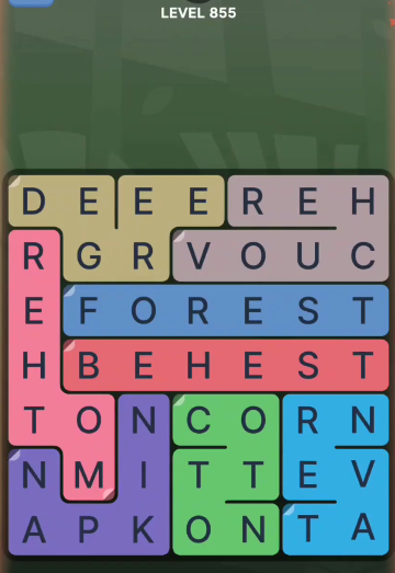FillWords Level 855